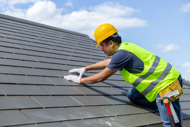 Best Roof Repair Services  in Ann Arbor, MI