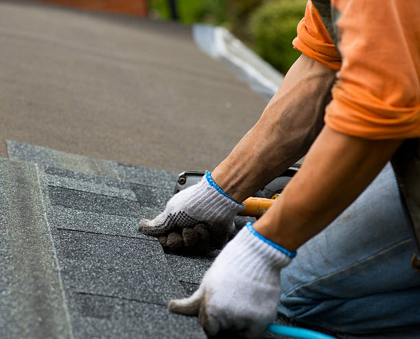 Best Local Roofing Companies  in Ann Arbor, MI