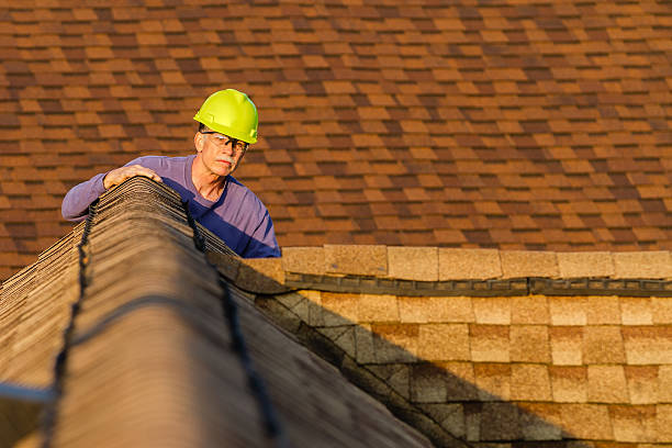 Best Local Roofing Companies  in Ann Arbor, MI