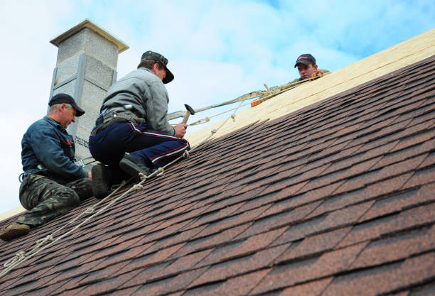 Best Shingle Roofing Installation  in Ann Arbor, MI