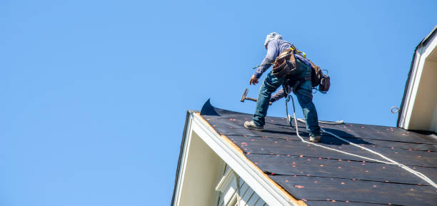 Roof Gutter Cleaning in Ann Arbor, MI